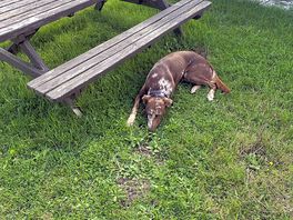 Taran at his most relaxed!