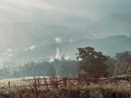 Morning rain and sun