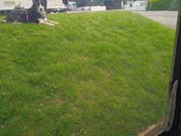 The steep bank right outside the awning