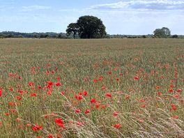 View of field as entering farm