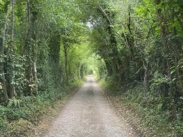 Nice drive to the campsite