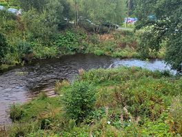 The river
