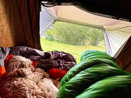 Morning views