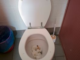 Bagno donne - visto solo cosi