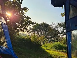 View from the tent