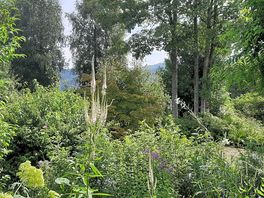 Only 5km walk to stunning garden. £10 entry.