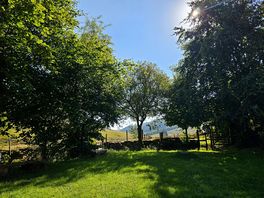 Camping area