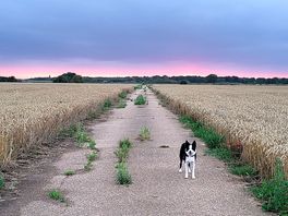 Walks outside campsite.