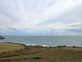 Beach view