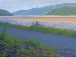 Estuary