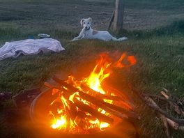 Our dog enjoying the campfire