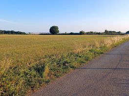 Looking back to campsite from farm lane.