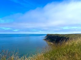 On the walk to filey from the site