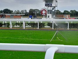 Side of the track