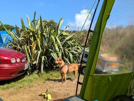 Dog friendly, marnie enjoying the sunshine