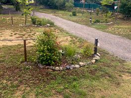 Site pic