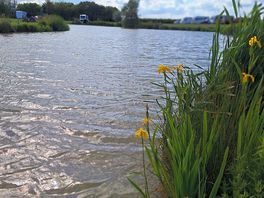 Beautiful lake on site