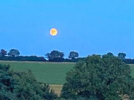 Evening view from the bottom field