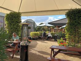 Terrace and potting shed
