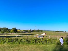 A farm with some ponys, they have pony party