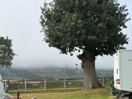 Morning fog lingering over the valley