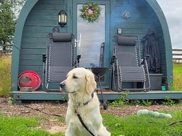 Perfect little pod
