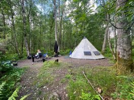 Woodland pitch 4 with tent