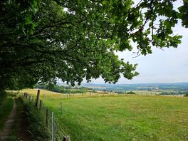 View from local walk
