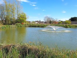 Another view of the lake