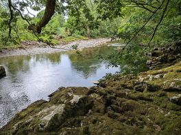 More nature and shiz