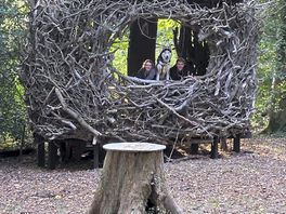 Woodland