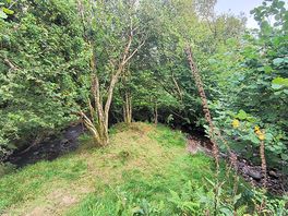 Lovely little secluded wooded areas