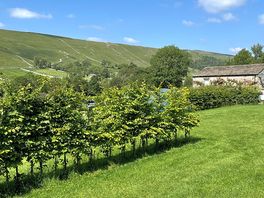 Private hedging
