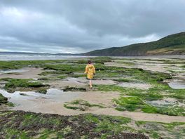 Looking for treasures in the nearby beach :)