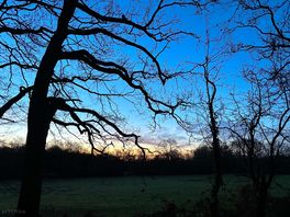 A frosty morning.