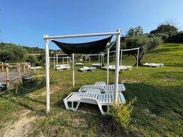Lettini sole