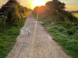 Footpath 2 mins from site