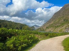 Path down to lake