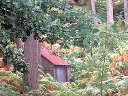 Cute cottage