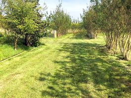 Grass pitches