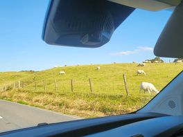 Round the corner