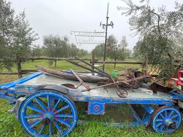 The farm