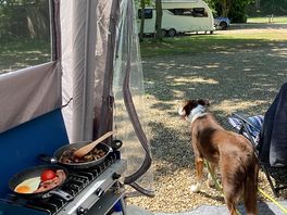 The nosy neighbour