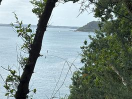 Walk from campsite
