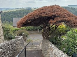 Over haddon village