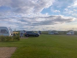 View across site.