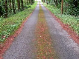 Roads not busy