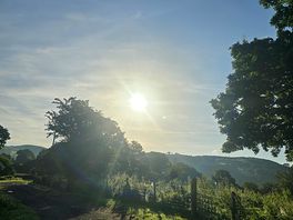 Morning views.