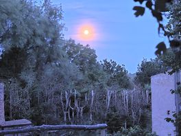 Full moon