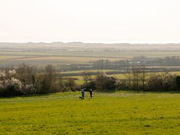 Green views